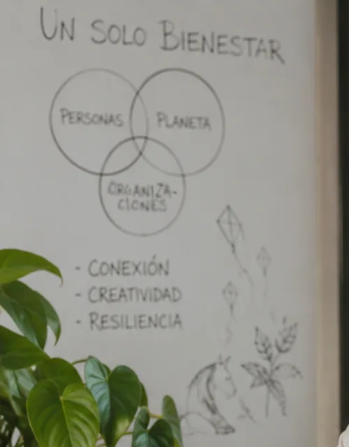 Detalle de la pizarra: «Un solo bienestar», tres círculos que se cruzan con las palabras personas, planeta y organizaciones, la lista conexión, creatividad, resiliencia, y bocetos de un barrilete, una planta y una cabeza de caballo